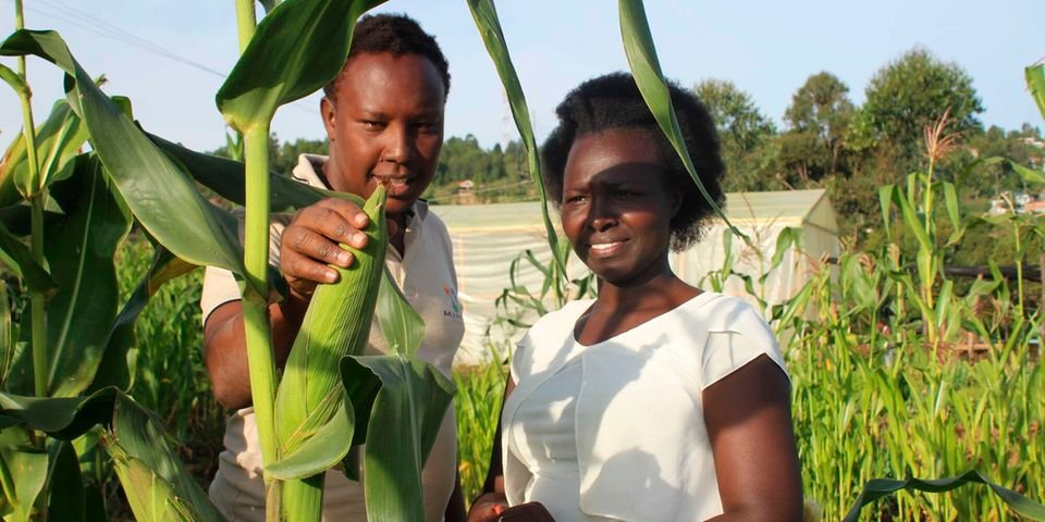 Couple makes case for organic farming