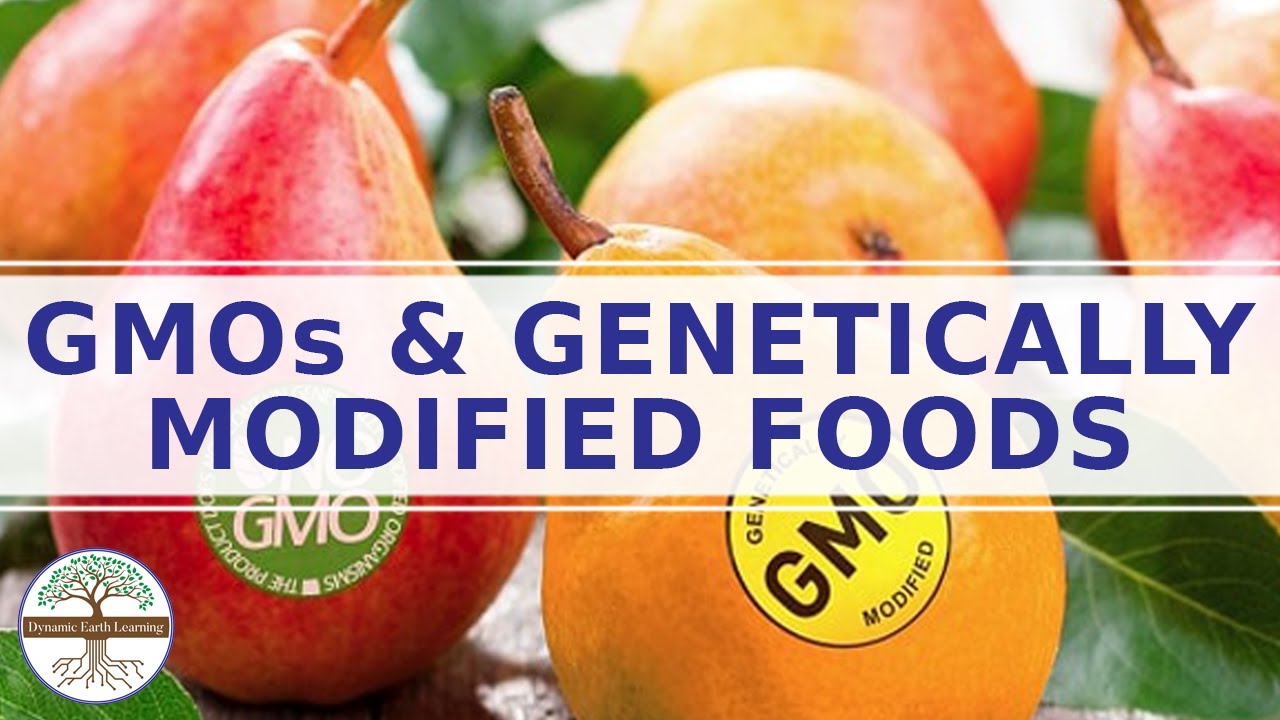 RELAX:  GMO Falsehoods. Misinformation. Disinformation. Confusion.
