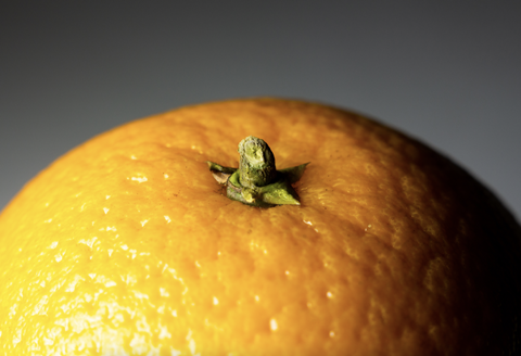 Uruguay releases new citrus varieties