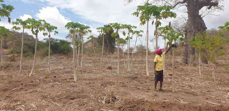 Kitui County:  a story of communities struggling with drought and access to water